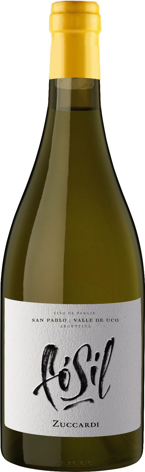 Familia Zuccardi Fossil Chardonnay 2022 | 750 ml Bottle