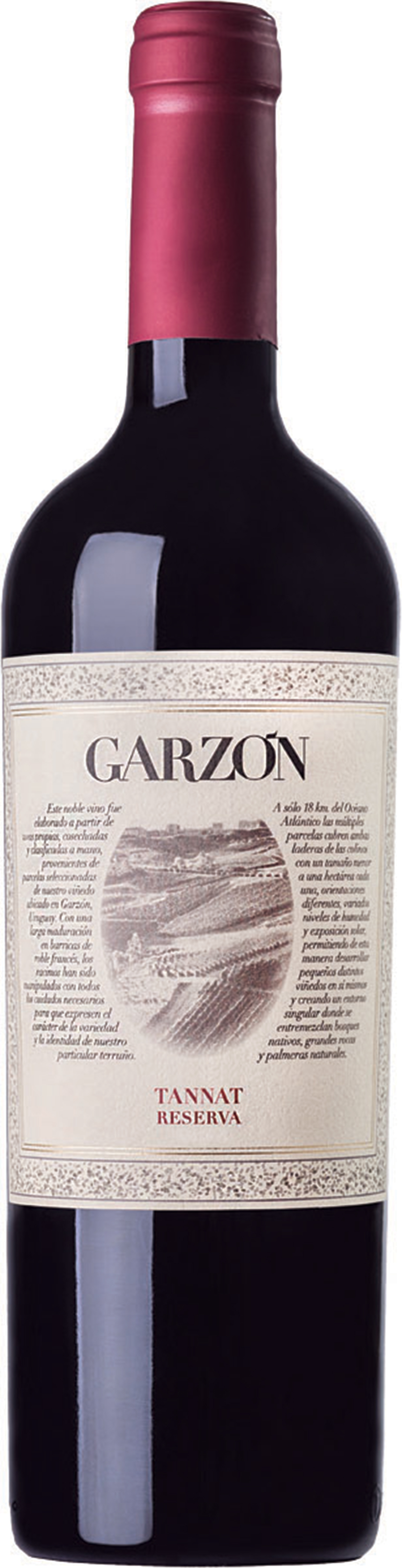 Bodega Garzon Tannat Reserva 2023 | 750 ml Bottle