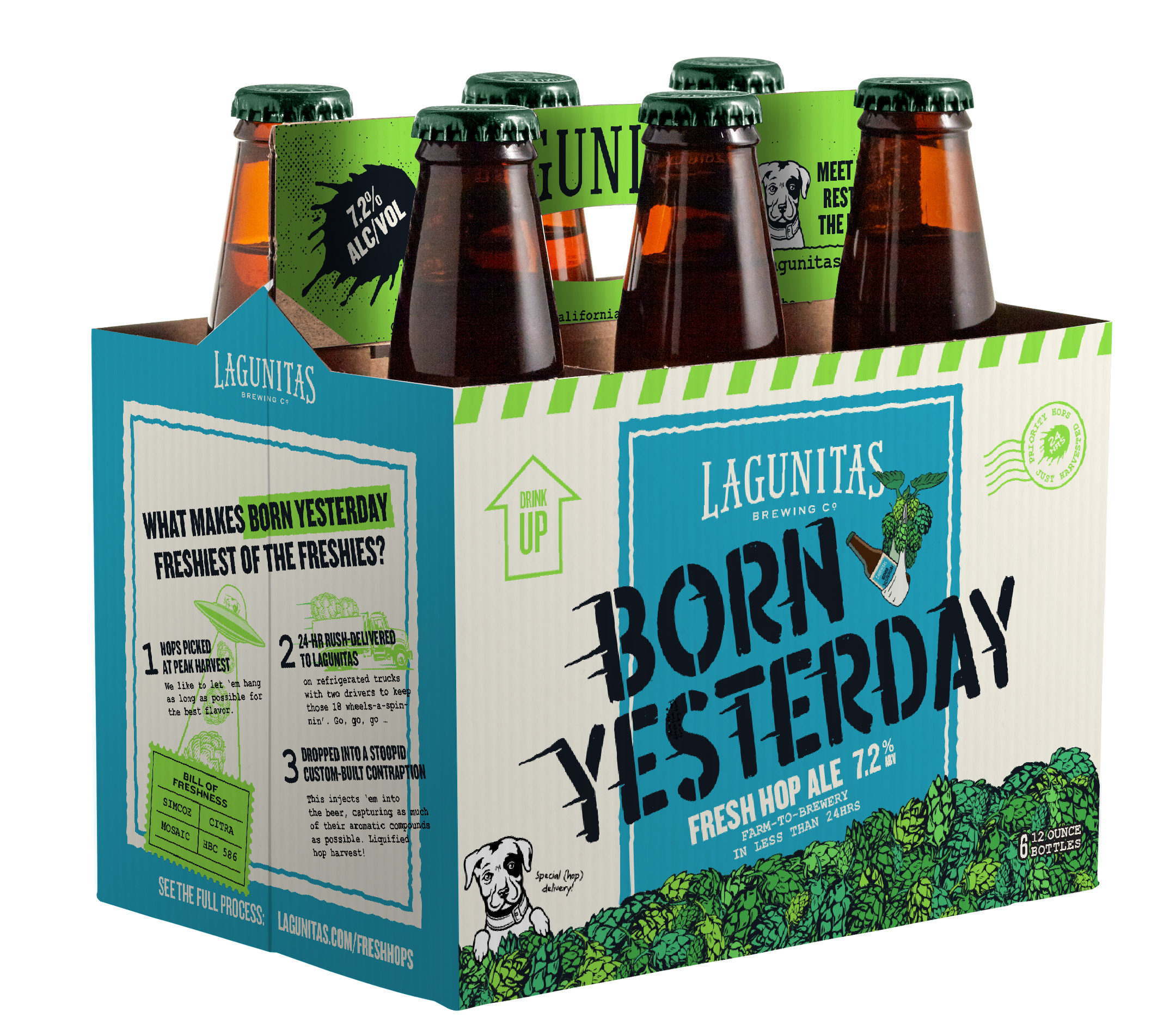 Waldos' Special Ale Near Me Online Collection factoryeye