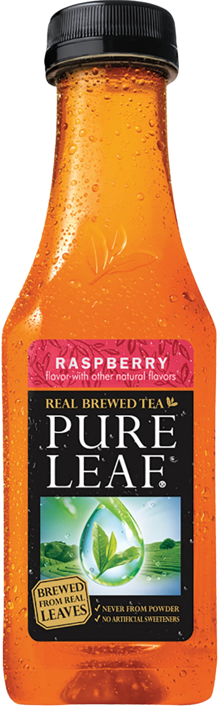 Lipton Pure Leaf Raspberry 18.5 Oz
