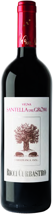 Ricci Curbastro Santella di Grom 2011