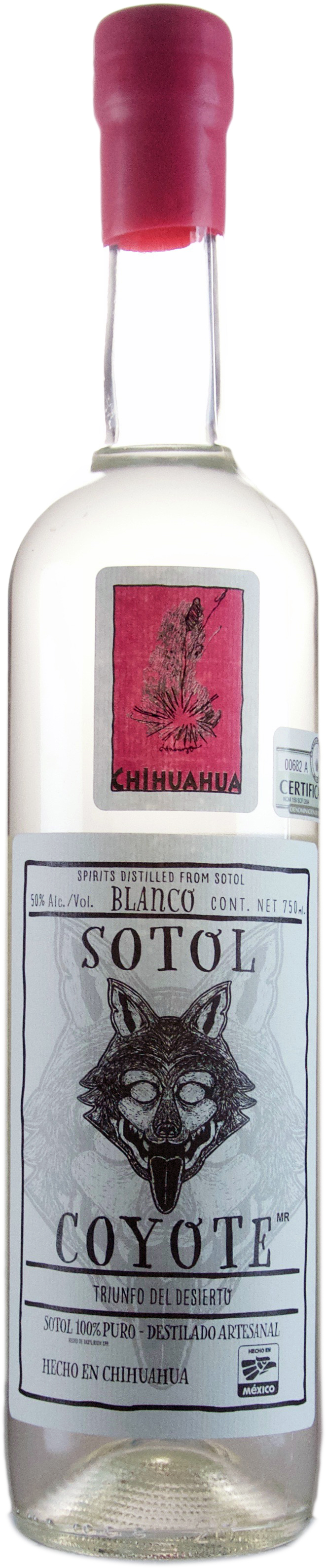 Casa Dasylirion Sotol Coyote Chihuahua