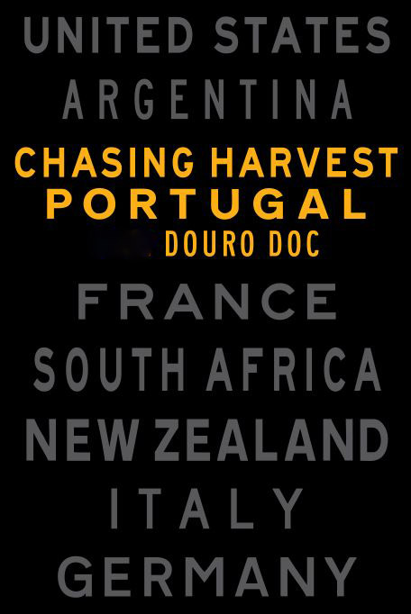 Chasing Harvest Old Vine Field Blend Douro DOC 2014