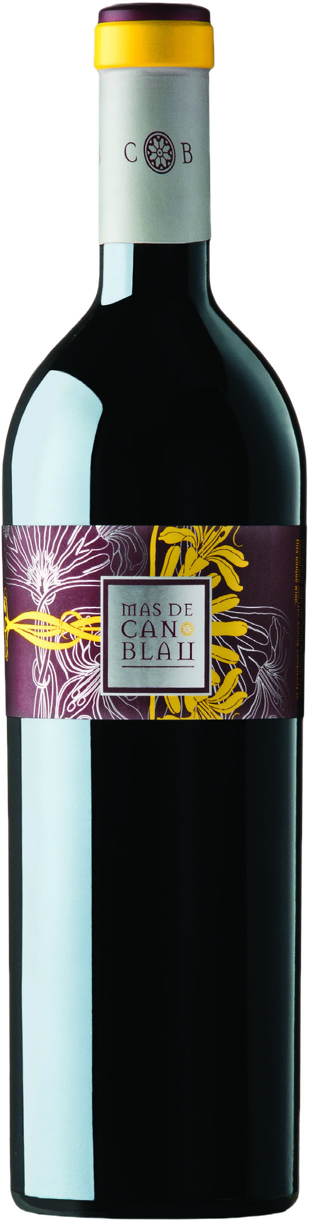 Can Blau Mas de Can Blau Montsant 2011