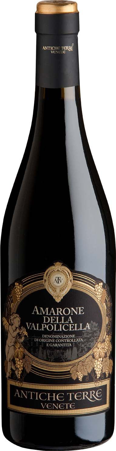 Antiche Terre Amarone della Valpolicella 2016