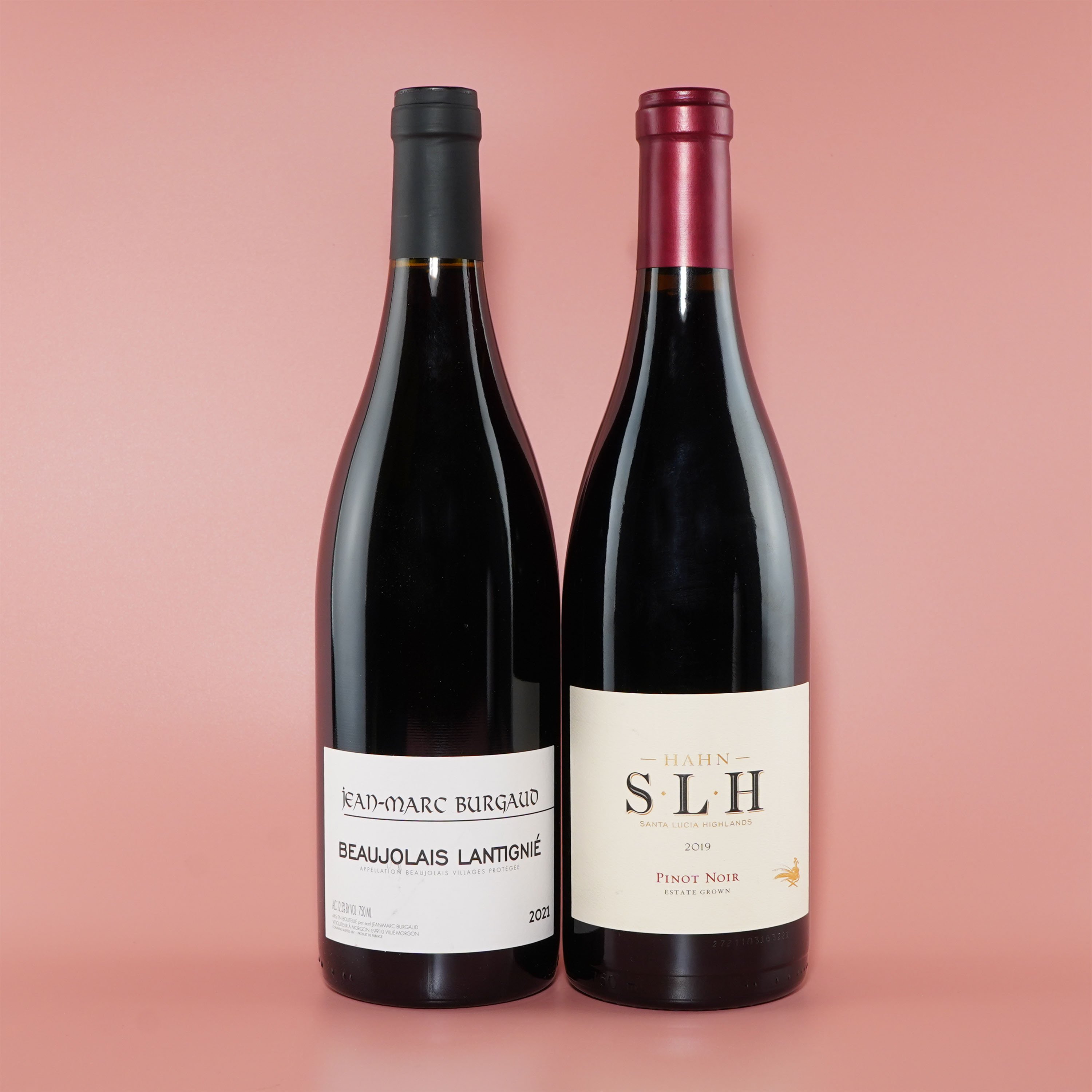 Pinot Photo.jpg