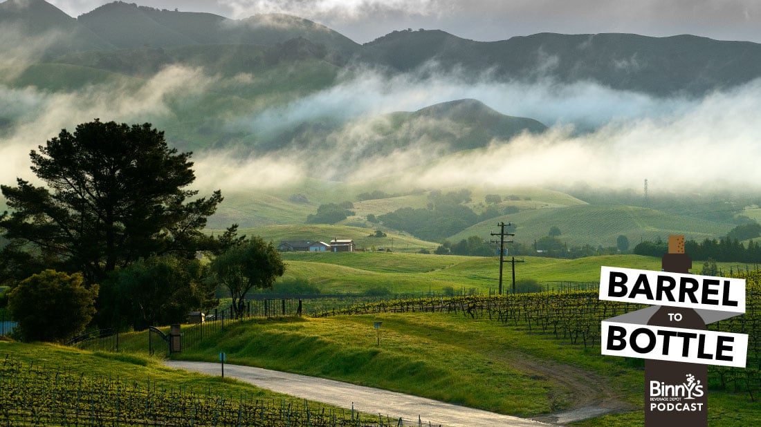 Something For Everyone - Central Coast Wine Values