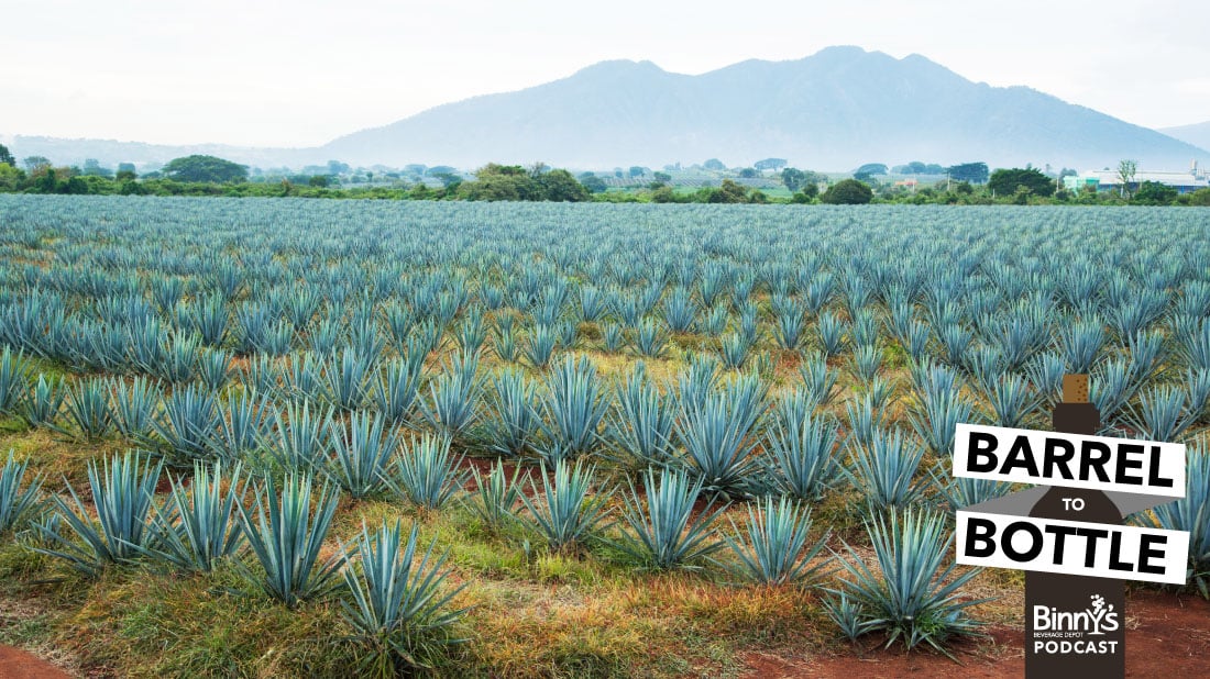 Blind Tasting Additive-Free Tequila Blanco and Reposado