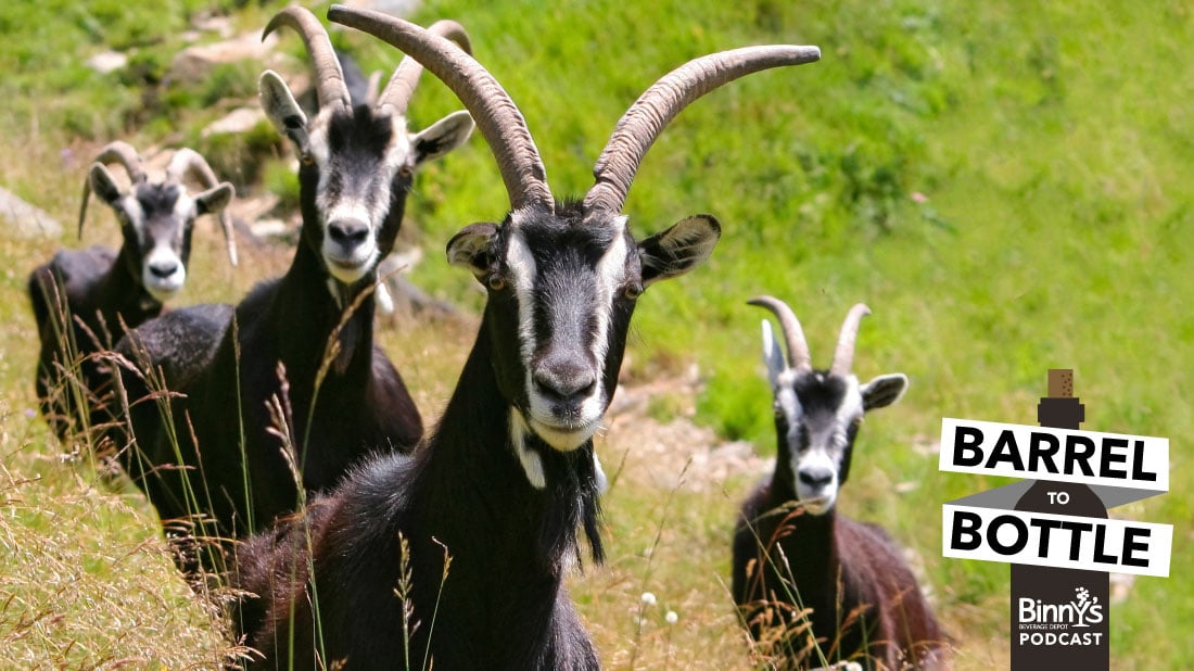 Bock in Business - the GOAT Beer Style